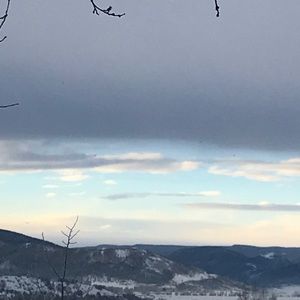 Meet your Posher, Marisa